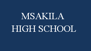Msakila High School logo